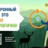 Электронный ЕПД. Электронный ЕПД.